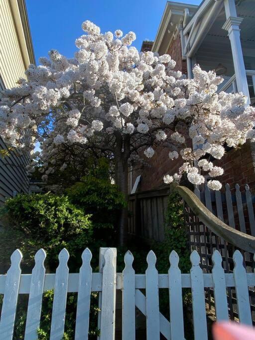 Charming Cottage Nestled In Prime Location Launceston Eksteriør bilde